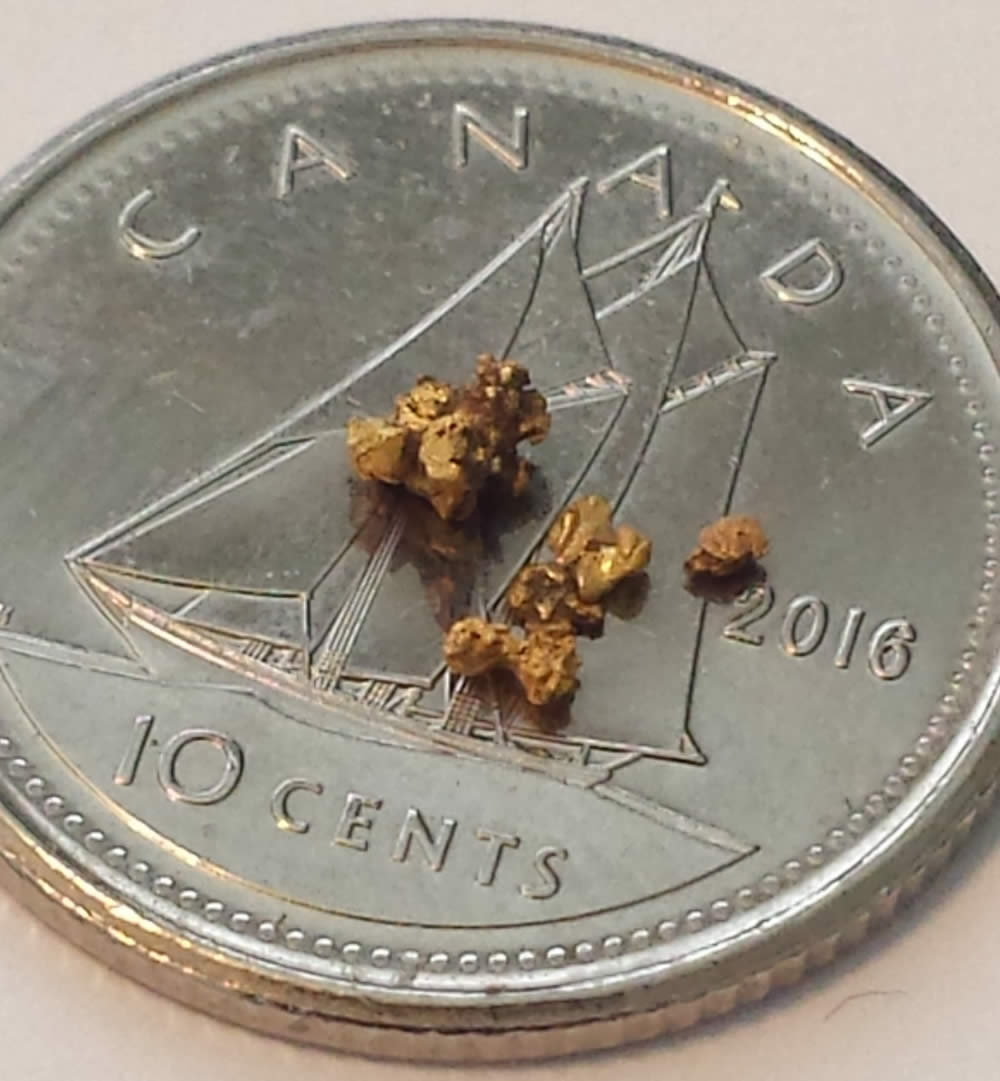 Has-Anyone-Panned-For-Gold?