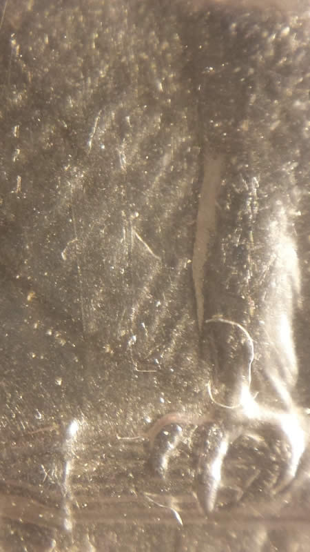 1955-Gem-BU-Quarter-VLDS-With-Die-Cracks-Better-Pics