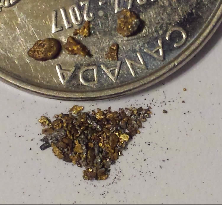 Has-Anyone-Panned-For-Gold?