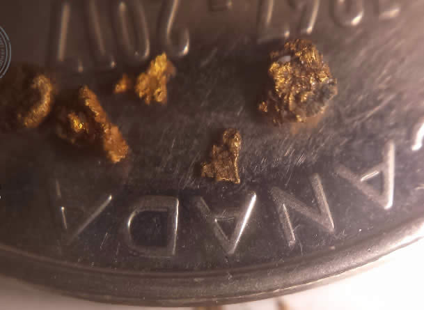 Has-Anyone-Panned-For-Gold?