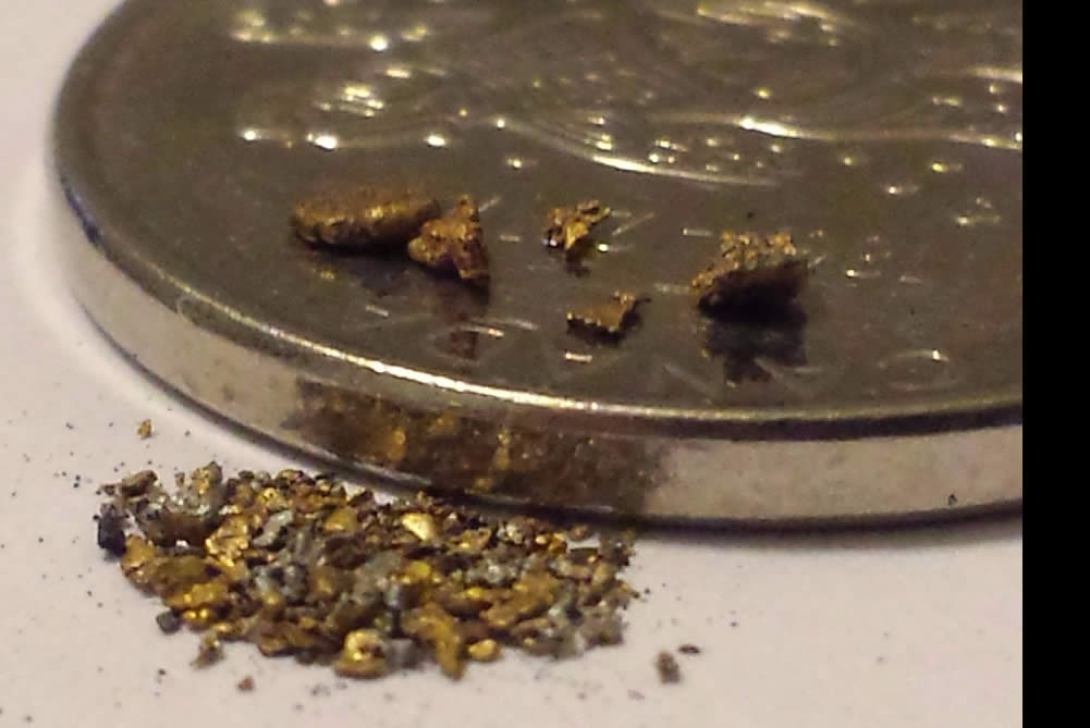 Has-Anyone-Panned-For-Gold?