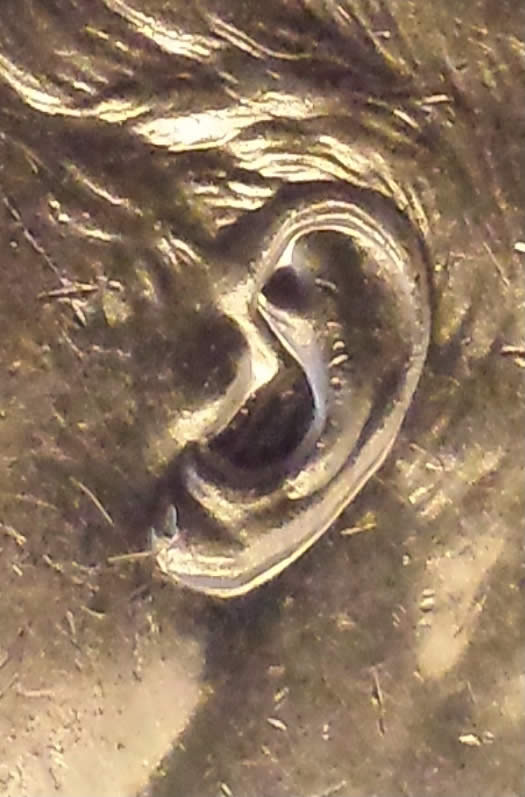 The-31-Days-Of-Canadian-Silver-Dollars