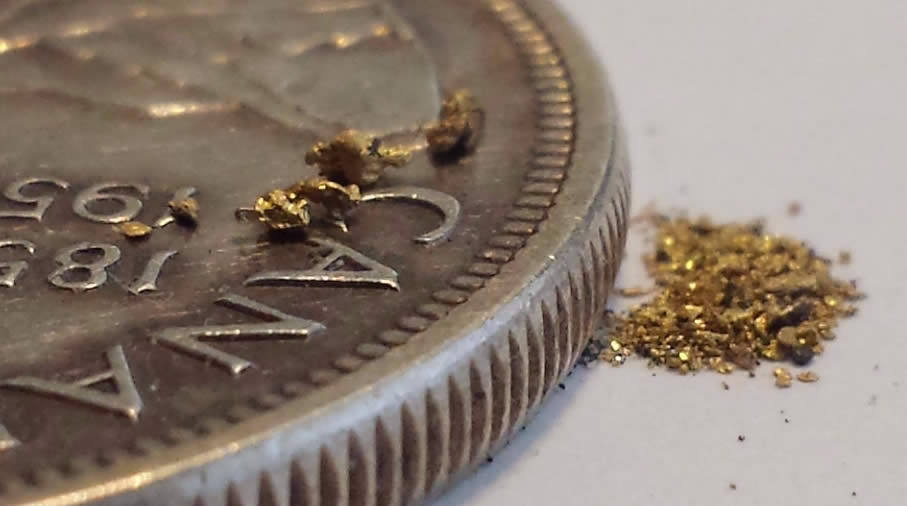 Has-Anyone-Panned-For-Gold?