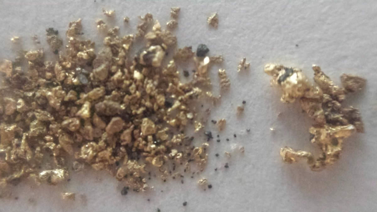 Has-Anyone-Panned-For-Gold?