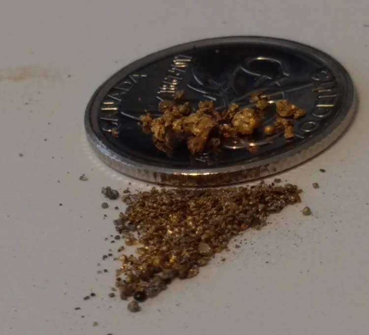 Has-Anyone-Panned-For-Gold?