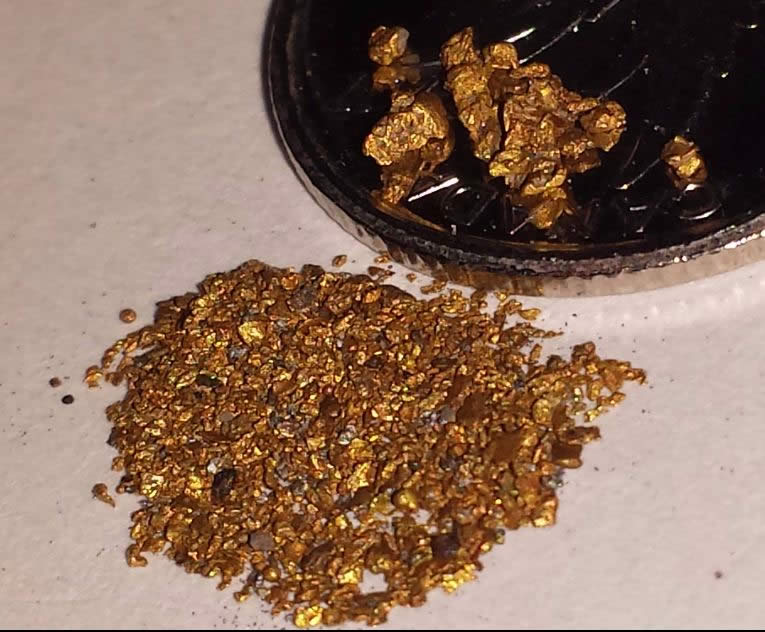 Has-Anyone-Panned-For-Gold?