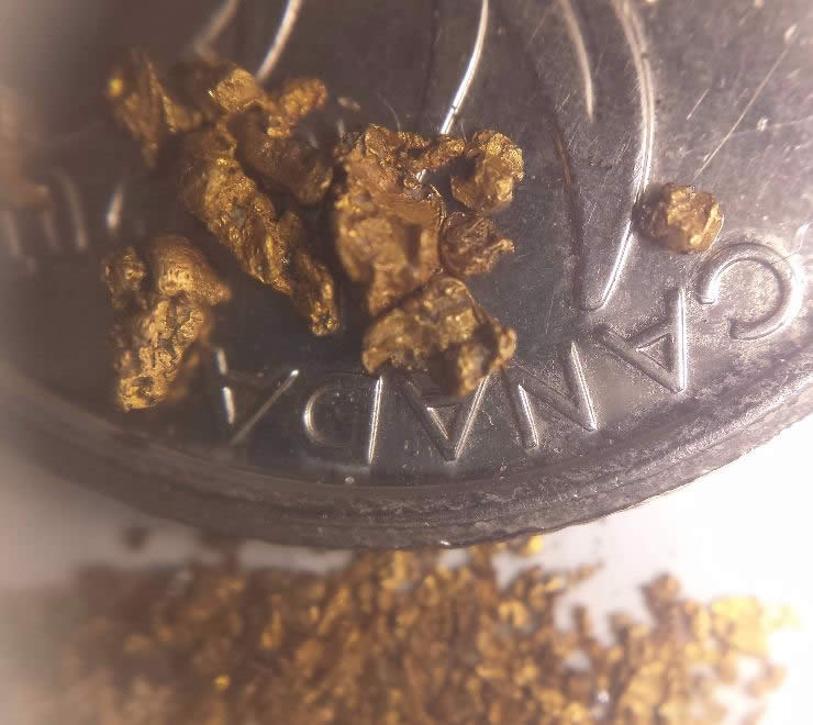 Has-Anyone-Panned-For-Gold?