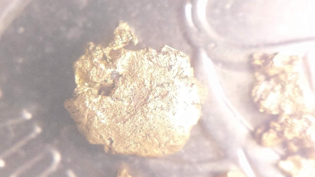 Has-Anyone-Panned-For-Gold?