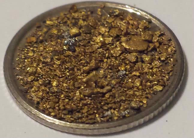 Has-Anyone-Panned-For-Gold?