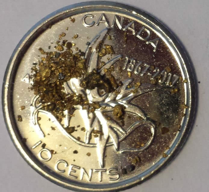 Has-Anyone-Panned-For-Gold?