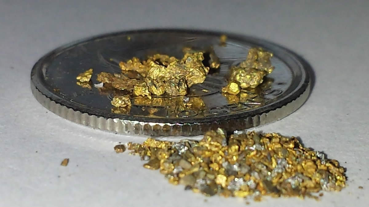 Has-Anyone-Panned-For-Gold?