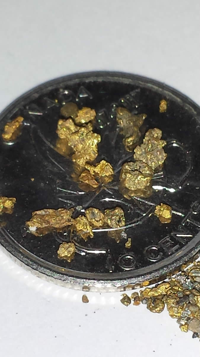 Has-Anyone-Panned-For-Gold?