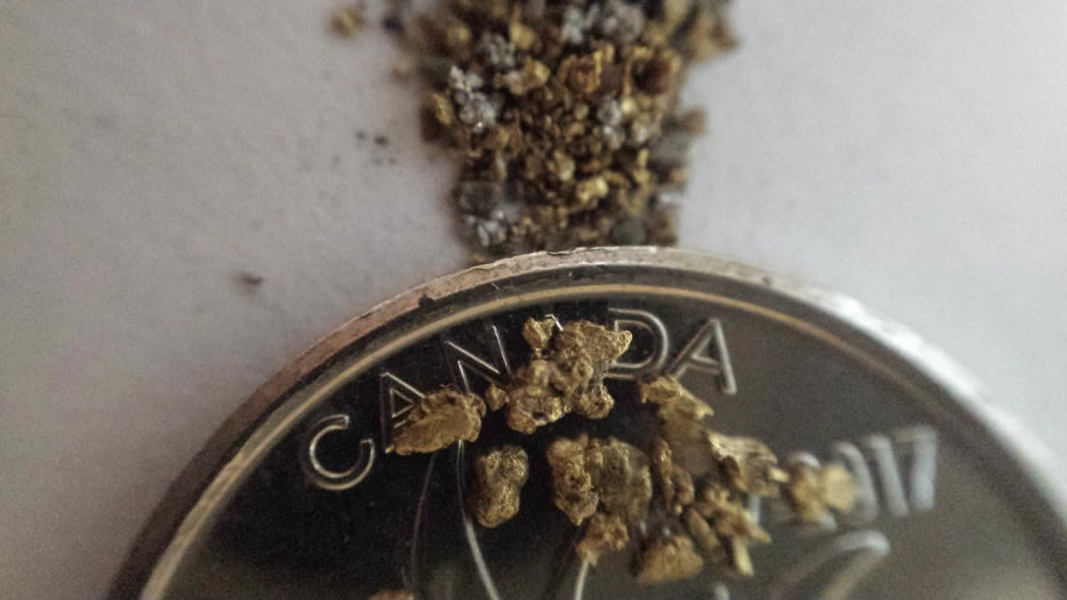 Has-Anyone-Panned-For-Gold?