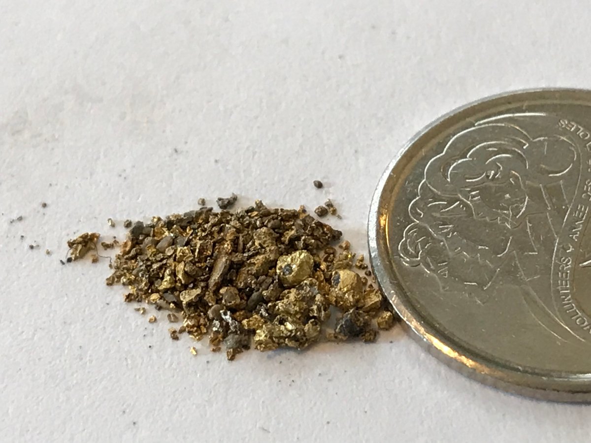 Has-Anyone-Panned-For-Gold?