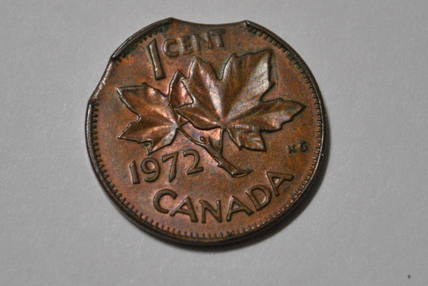 Cool-And-Sometimes-Crazy-Doubled-Clipped-Canadian-Errors