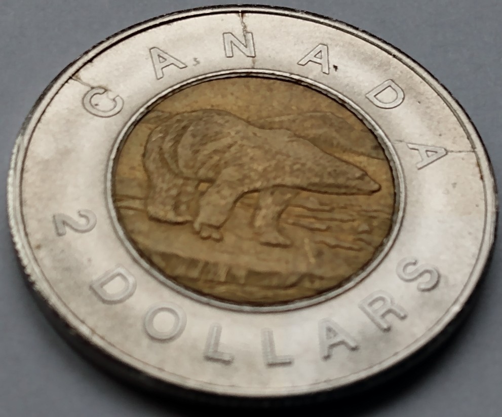 Fake-Camel-Toe-2005-Toonie-With-Reverse-And-Obverse-Die-Cracks
