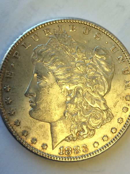 1883-Morgan
