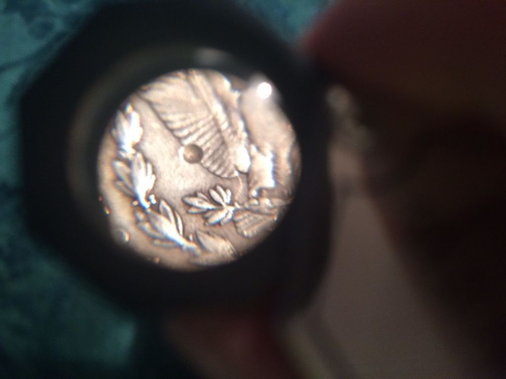 Damaged-1879-And-1921-Morgans
