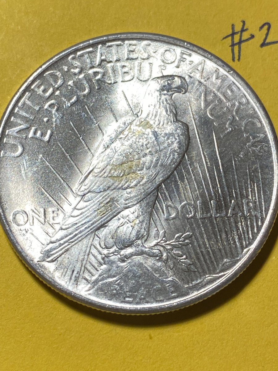 1924-Peace-Dollar-For-Grading-#2.-Updated-Photos.