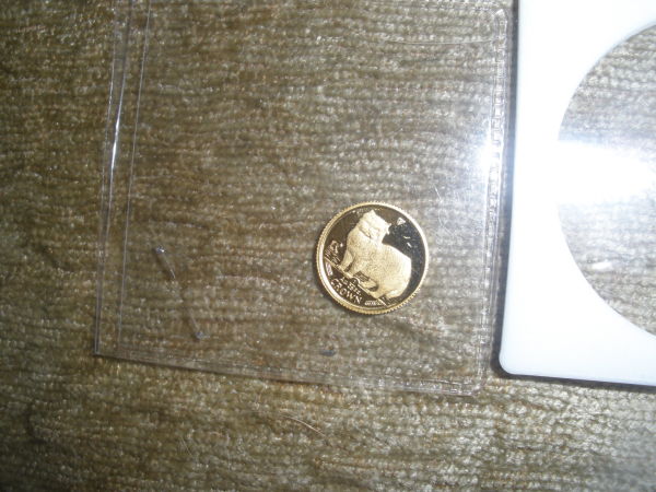 Here-Is-The-Silver-An-Gold-Coin-Collection-Finally