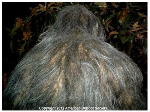 Finding-Bigfoot:-Found-Him!