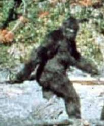 Finding-Bigfoot:-Found-Him!