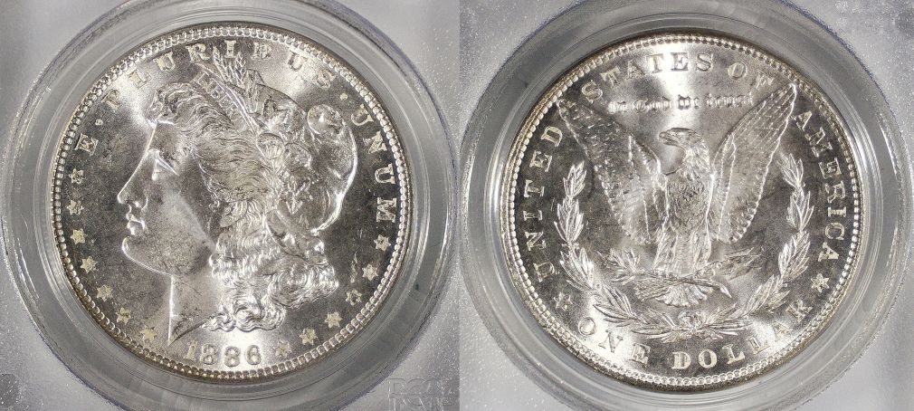 Continuing-List-To-Show-Everyones-Latest-Acquisitions