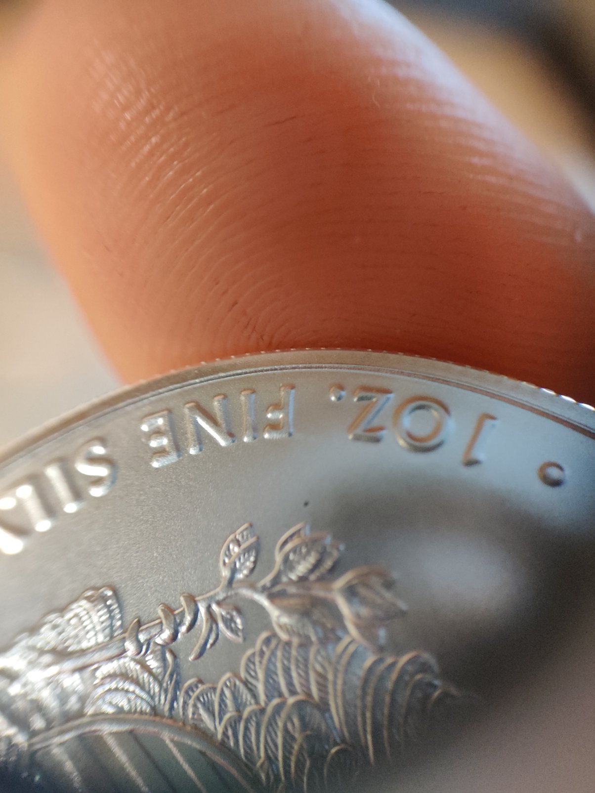 2021-Silver-Eagle-Error?