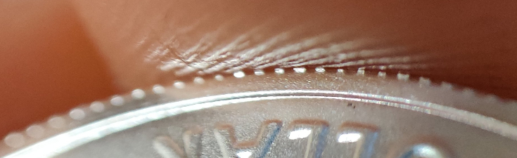 2021-Silver-Eagle-Error?