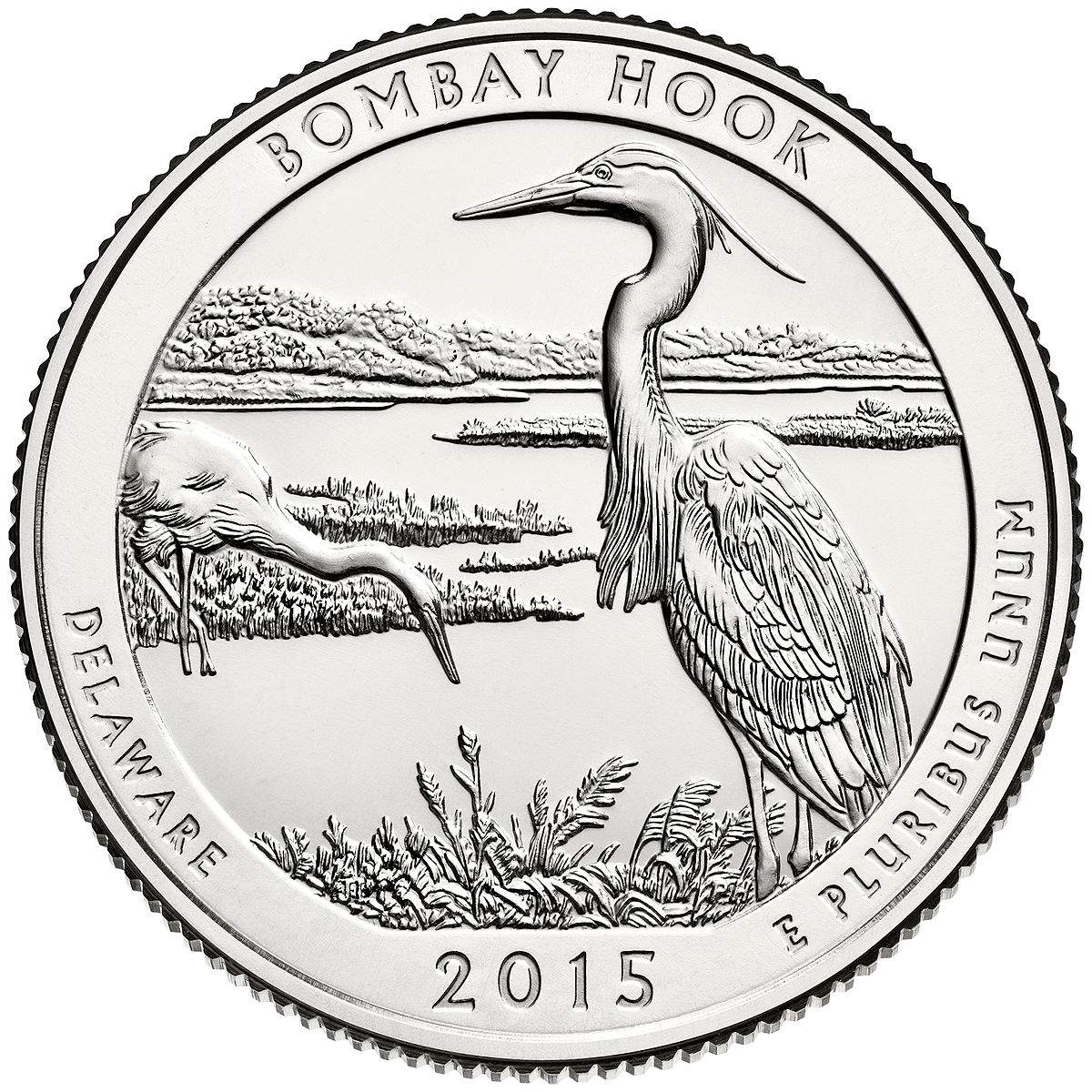 2015-Delaware-Quarter-With-Two-Die-Chips?