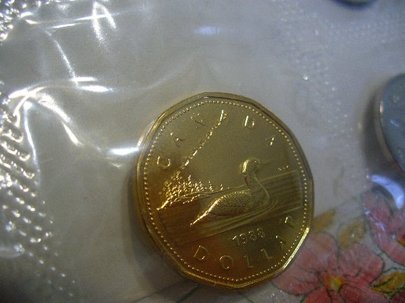 1988-Sealed-Loonie-In-A-Proof-Like-Set..-Damaged.