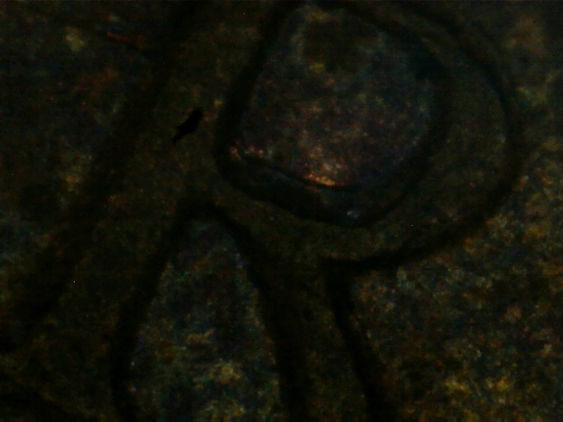 1-C-1965-Interesting-Coin-Sb-Bp5