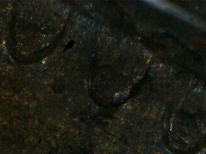 1-C-1965-Interesting-Coin-Sb-Bp5