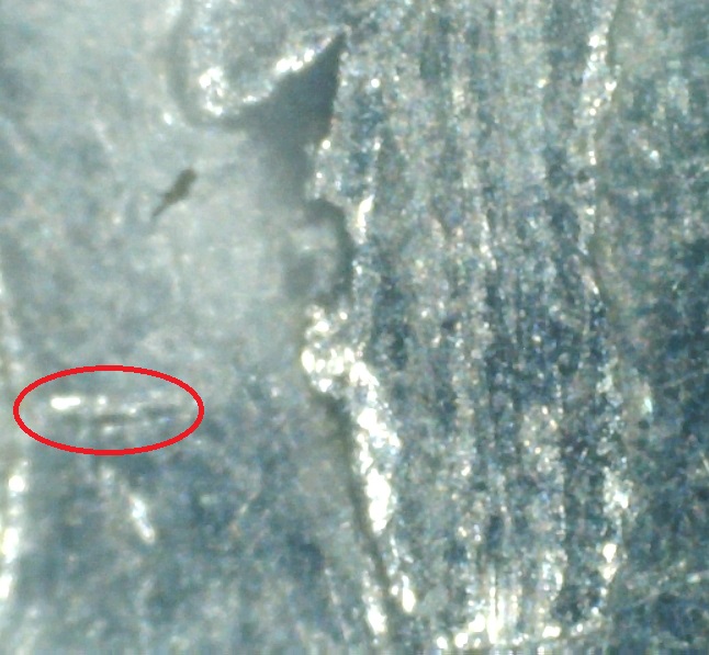 1975-Dime,-Many-Questions