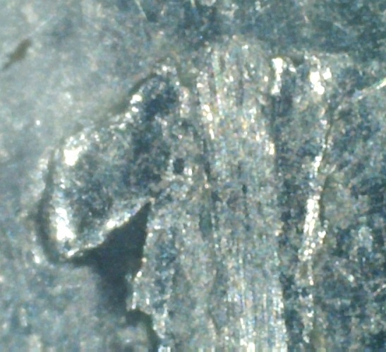 1975-Dime,-Many-Questions