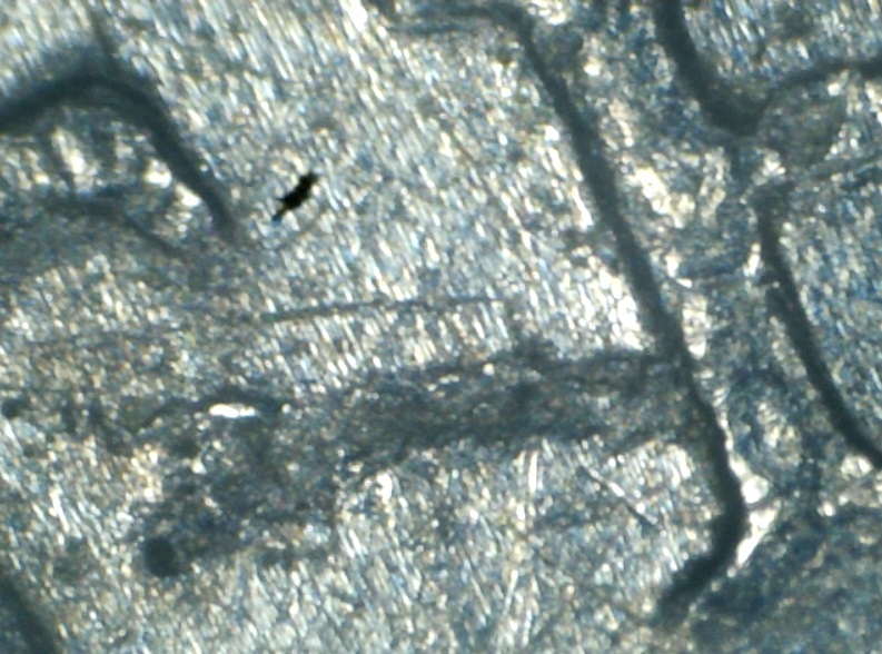 1975-Dime,-Many-Questions