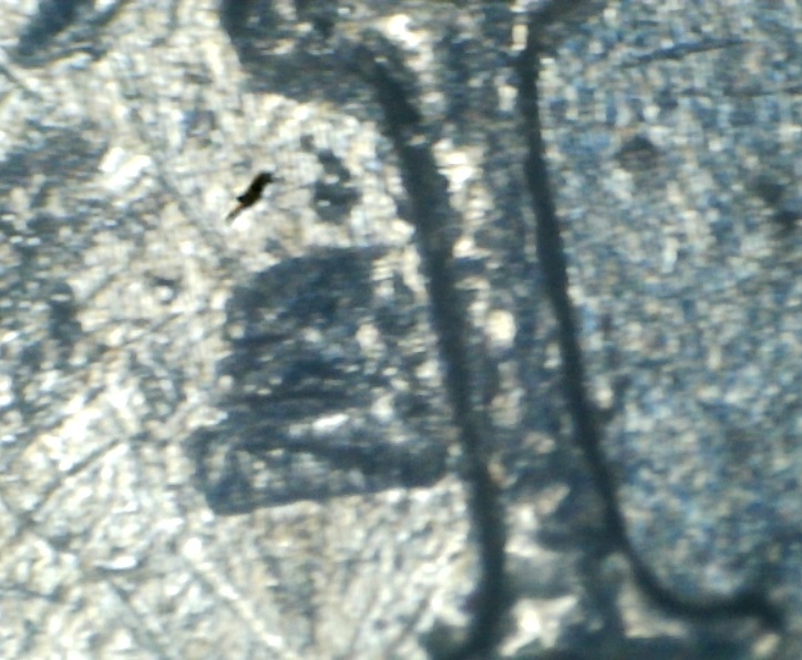 1975-Dime,-Many-Questions