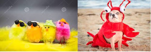 Happy-Easter-To-Everyone
