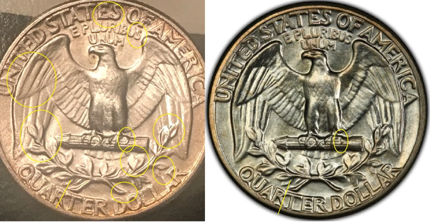 1964-Quarter-SMS-Verification-Please