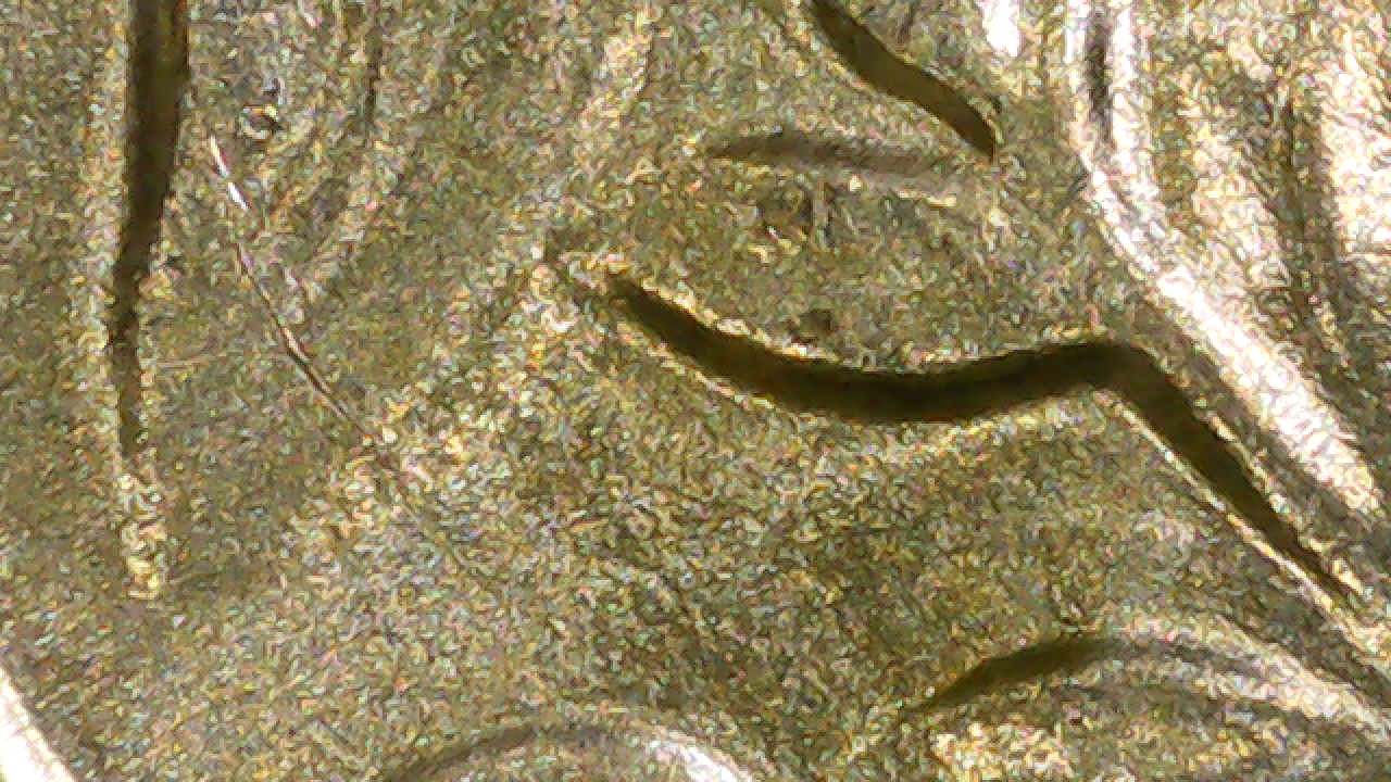1961-D-Quarter-RPM-001-With-More-On-3RD-Of-The-3
