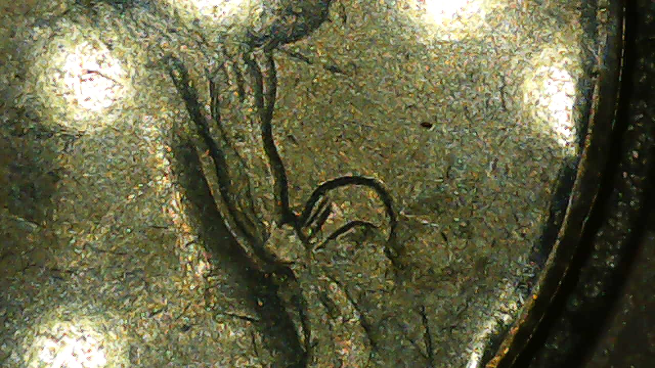 1989-Quarter-No-Mint-Mark.