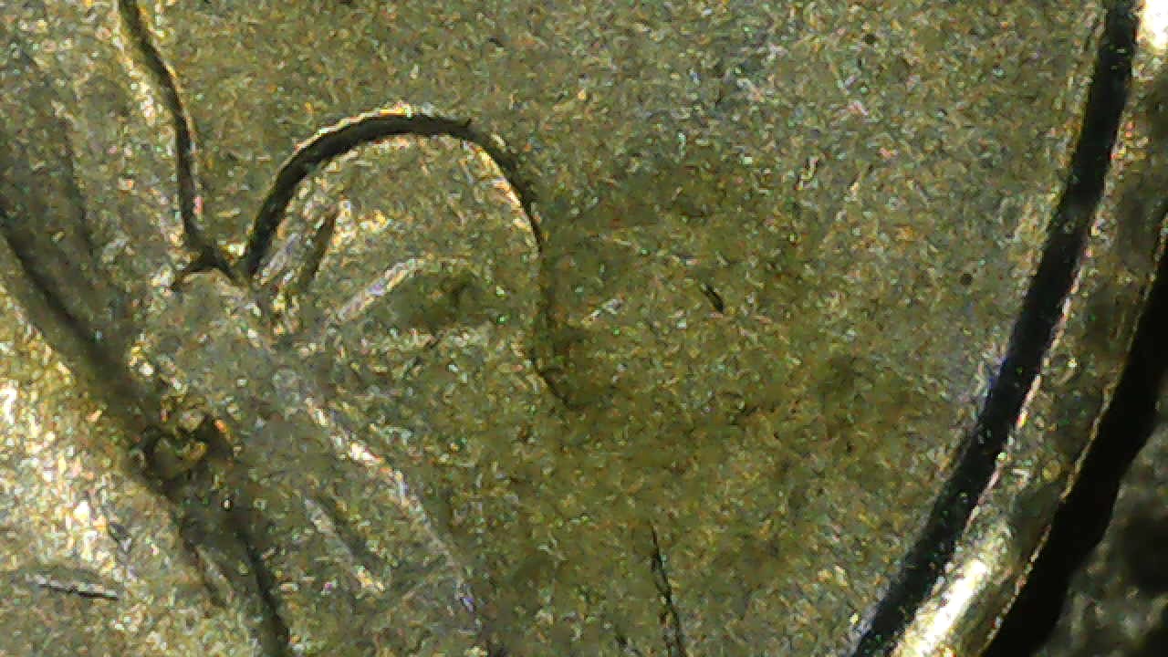 1989-Quarter-No-Mint-Mark.
