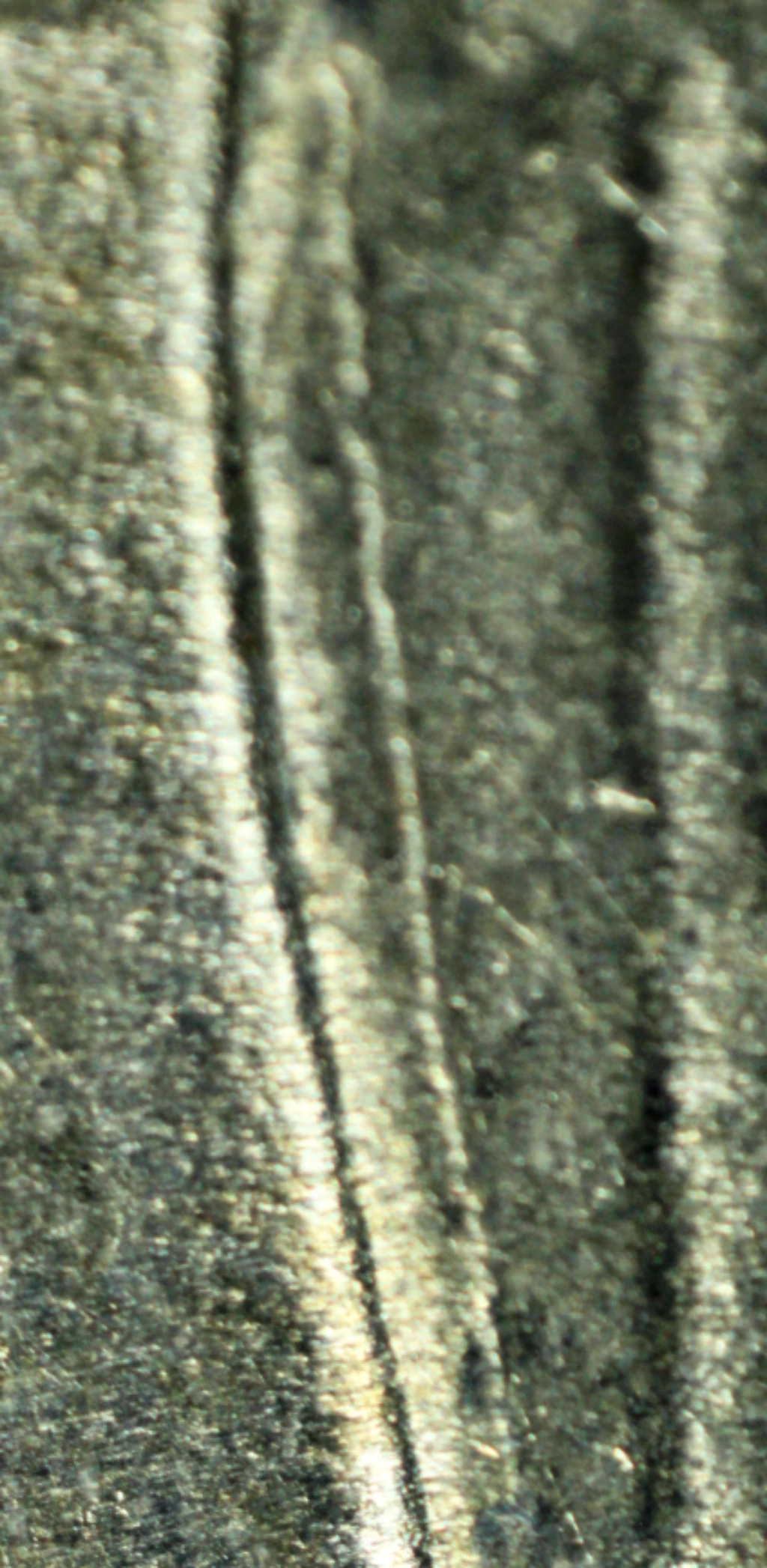 1932-Quarter-First-FS-101