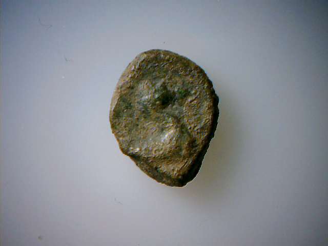 Help-Classification-Ol-Coin-Whit-Dragon