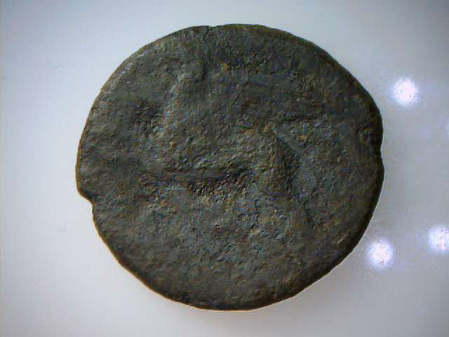 Help-Identification-Old-Coin-Whit-Pegasu-And-Horse