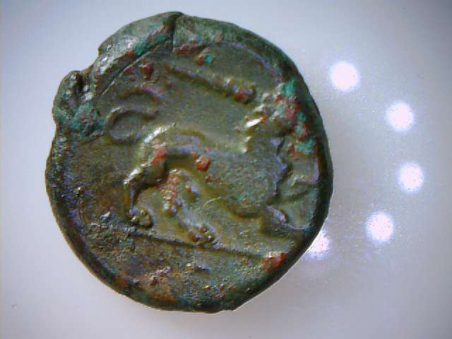 Greek-Or-Roman-Coin-?-Whit-Lion