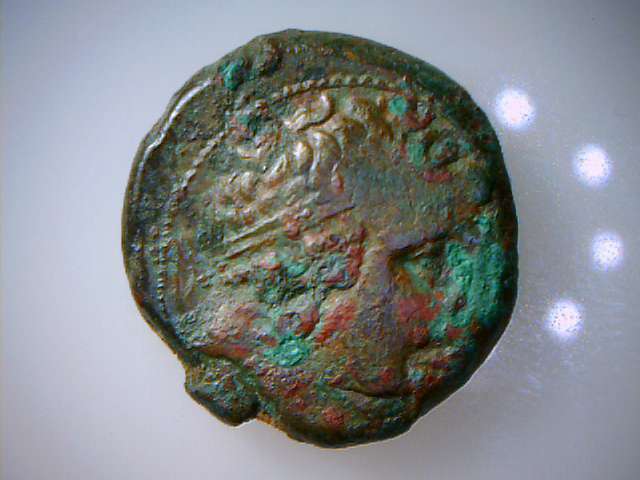 Greek-Or-Roman-Coin-?-Whit-Lion