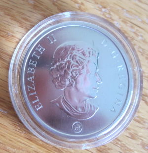 Black-Line-On-Back-Of-Cardinal-Coin