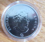 Black-Line-On-Back-Of-Cardinal-Coin
