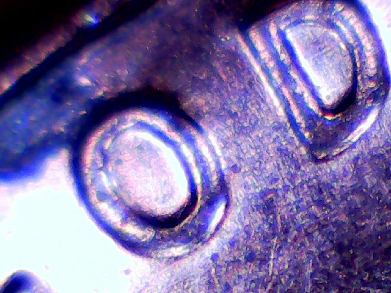 Is-This-A-2006-D-Doubled-Die-Observe?